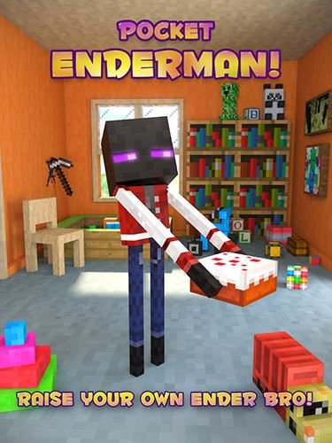 game pic for Pocket Enderman